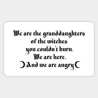 We are the granddaughters of the witches you couldn't burn Magnet